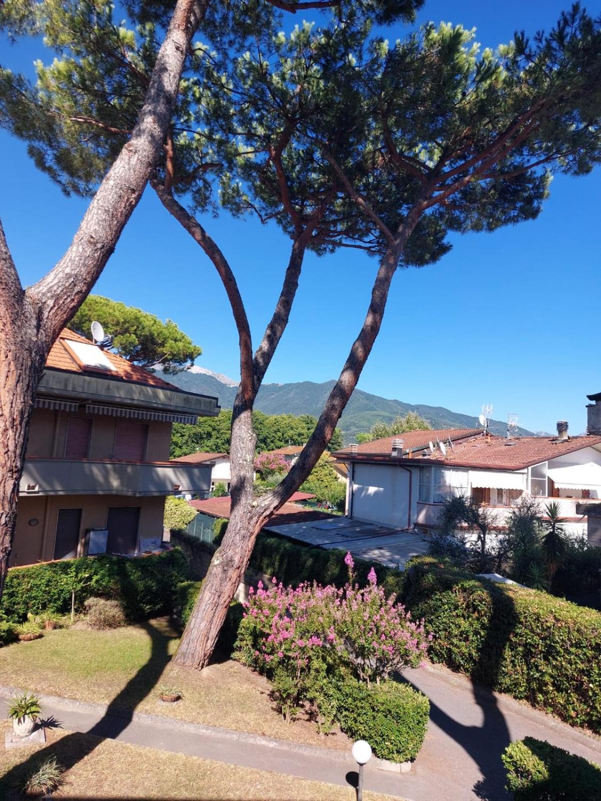 Al Mare Di Liguria E Toscana Marina di Massa